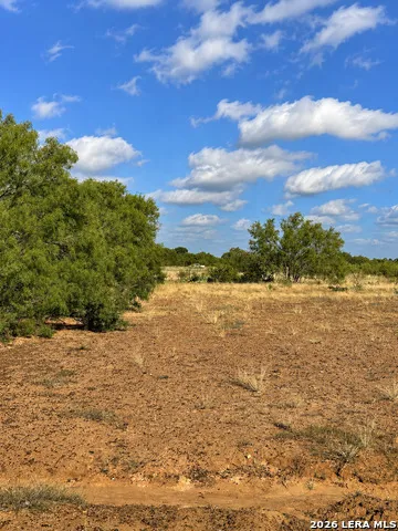 0 FM 1333 Poteet, TX 78065
