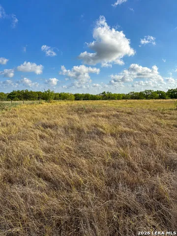 0 FM 1333 Poteet, TX 78065