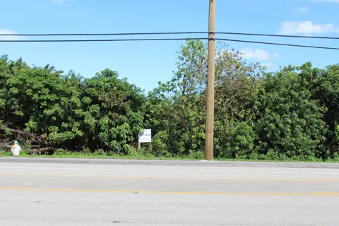 Davie Road Road