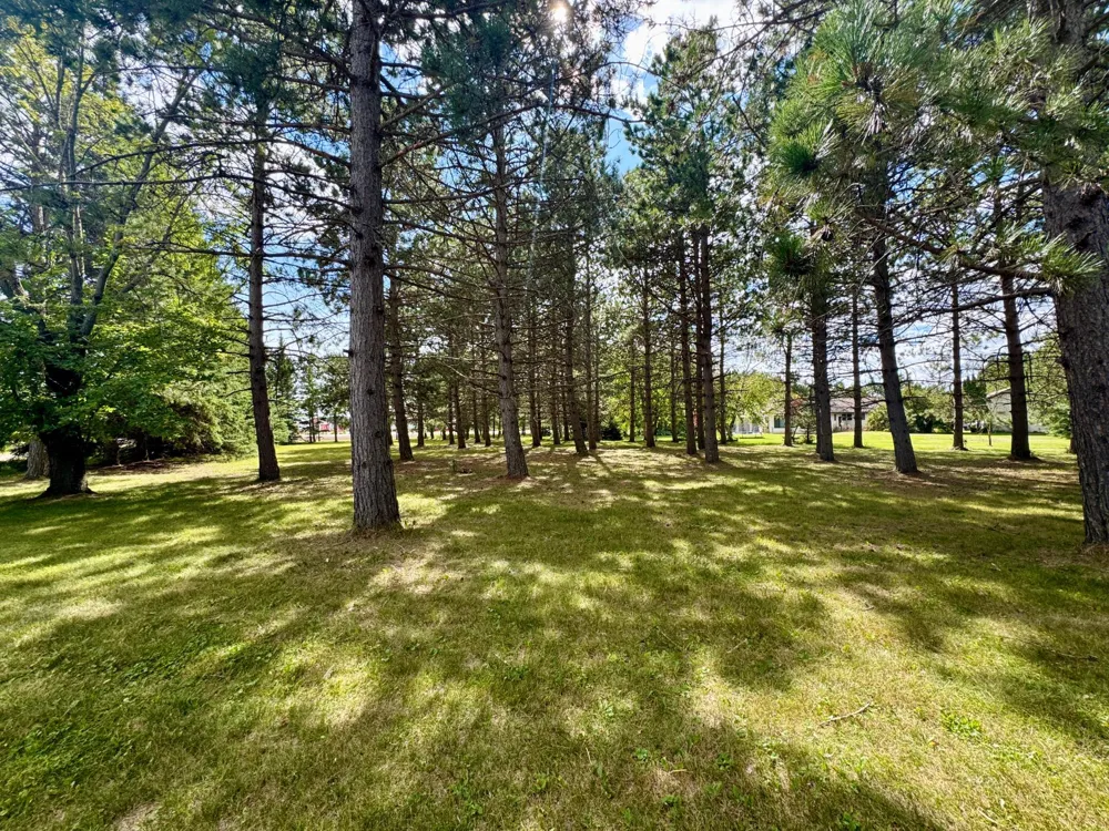 55203 State Highway 11 Warroad, MN 56763
