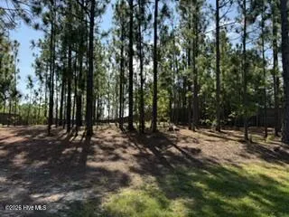 3005 Dana Lane Aberdeen, NC 28315