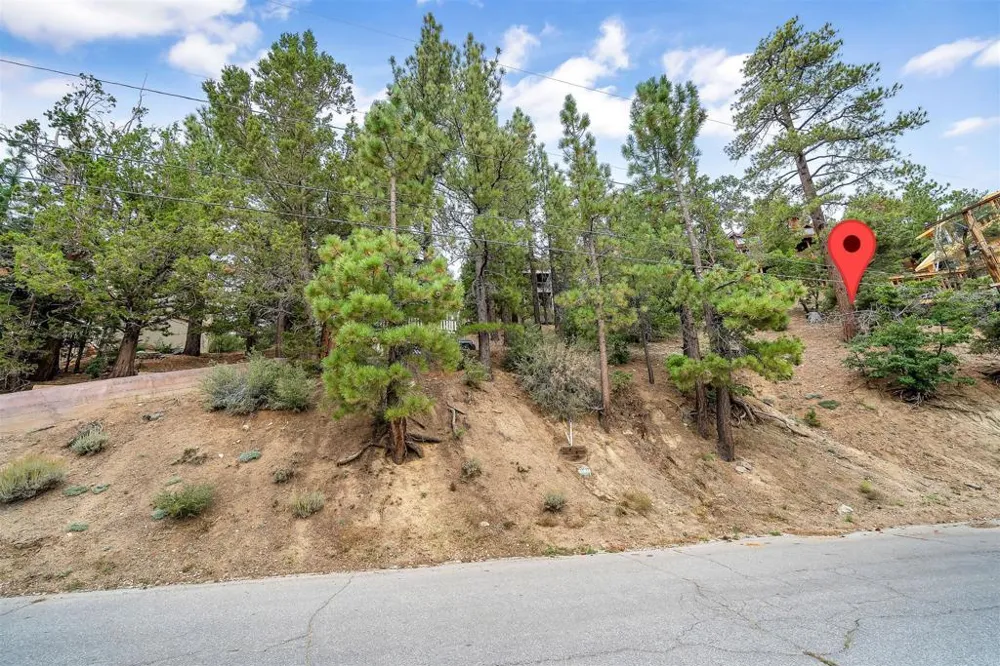 865 Menlo Drive Big Bear, CA 92315