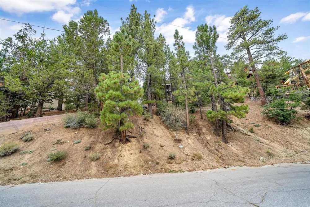 865 Menlo Drive Big Bear, CA 92315