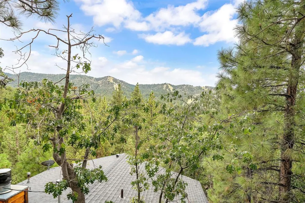 865 Menlo Drive Big Bear, CA 92315