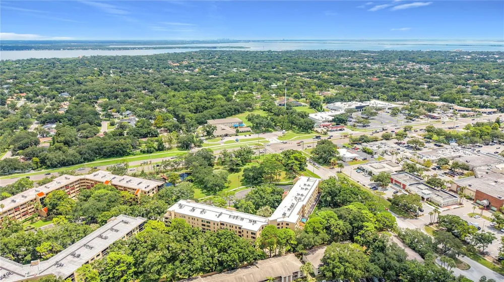 3078 EASTLAND BOULEVARD #209 Clearwater, FL 33761