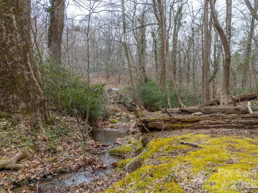 15 Meadowlark Drive Tryon, NC 28782