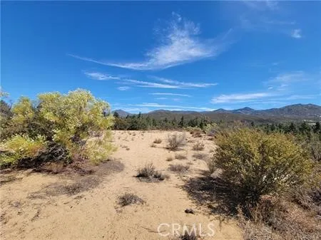 Tule Peak Anza, CA 92539