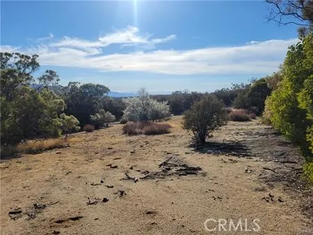 Tule Peak Anza, CA 92539