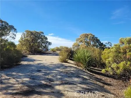 Tule Peak Anza, CA 92539