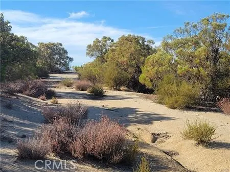 Tule Peak Anza, CA 92539