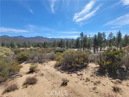 Tule Peak Anza, CA 92539