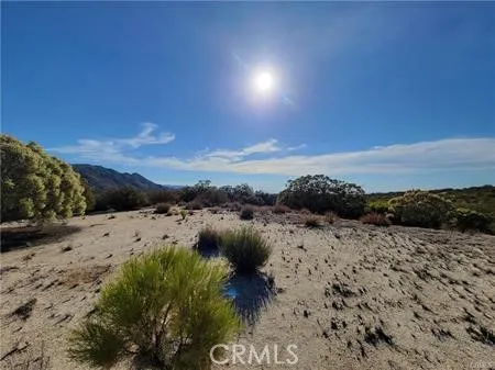Tule Peak Anza, CA 92539