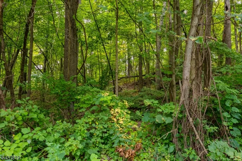 38 Evergreen Trl Vernon, NJ 07462