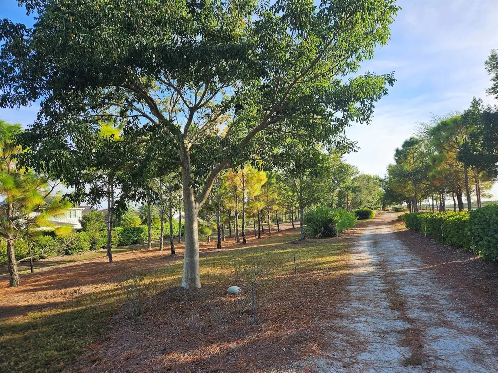 1664 Pelican Post Place Loxahatchee, FL 33470