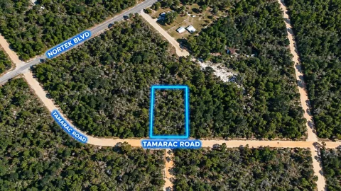 Tamarac Road