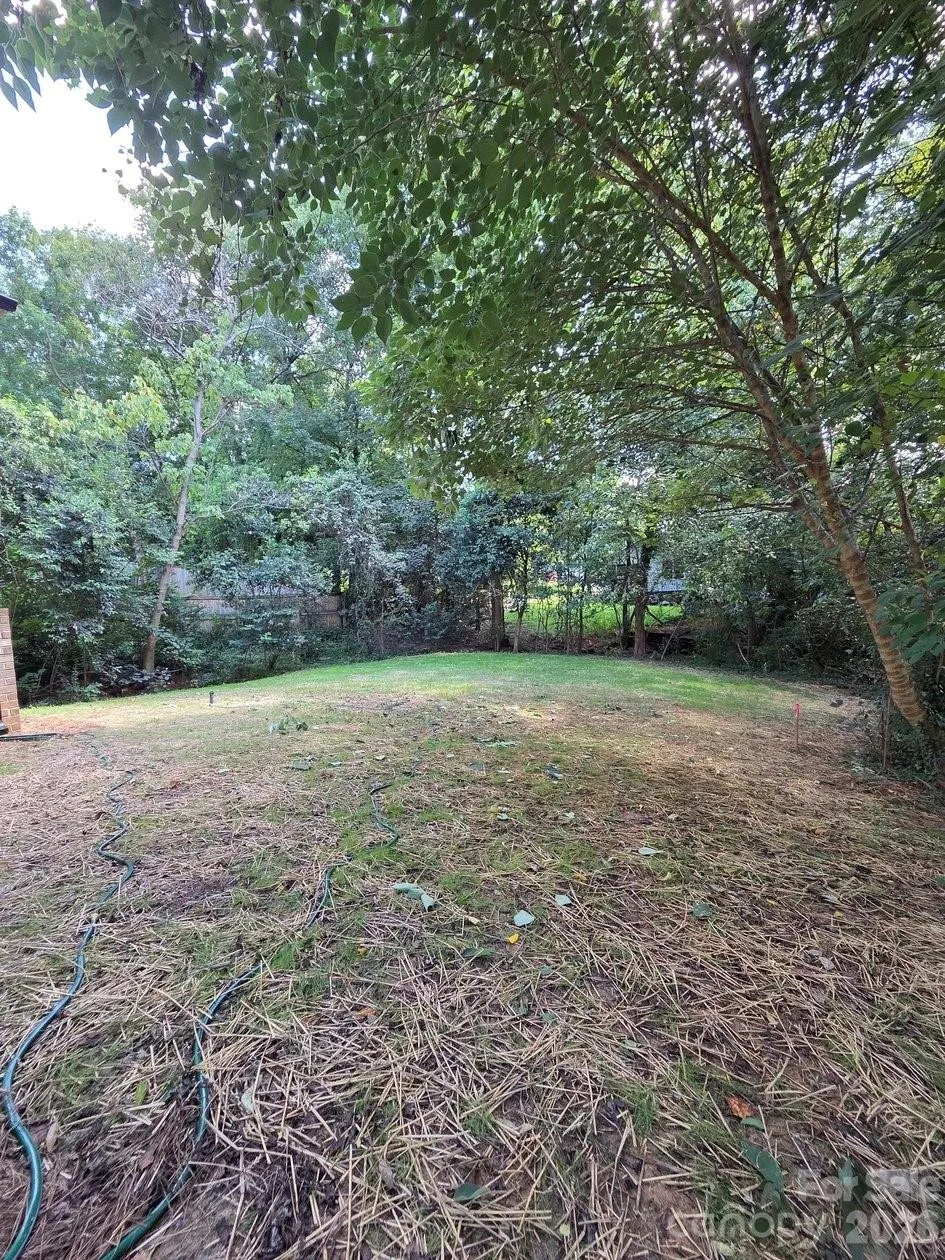 812 E 19th Street Charlotte, NC 28205