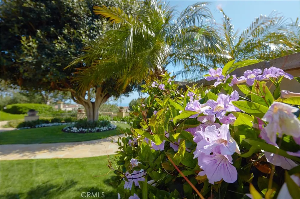 20 Channel Vista Newport Coast, CA 92657