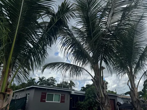 3340 SW 20TH COURT
