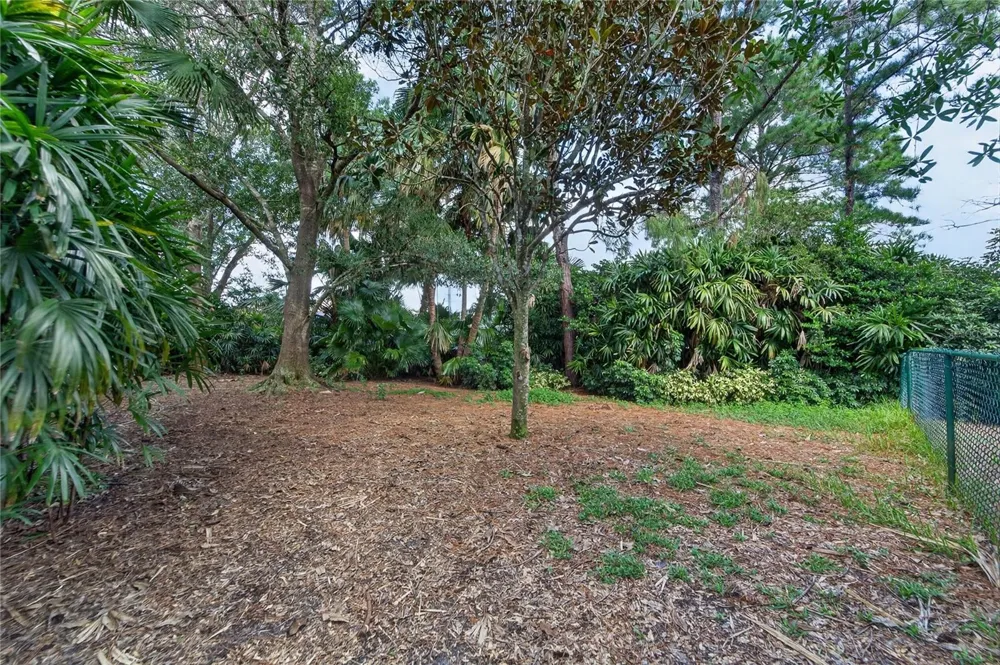 8929 GARNER COURT Trinity, FL 34655