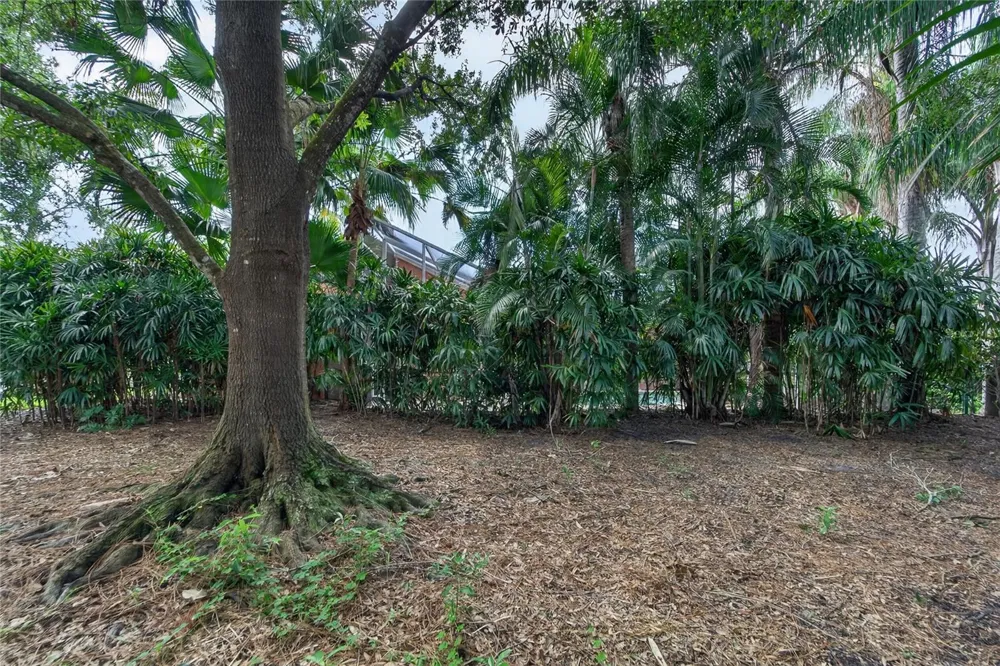 8929 GARNER COURT Trinity, FL 34655