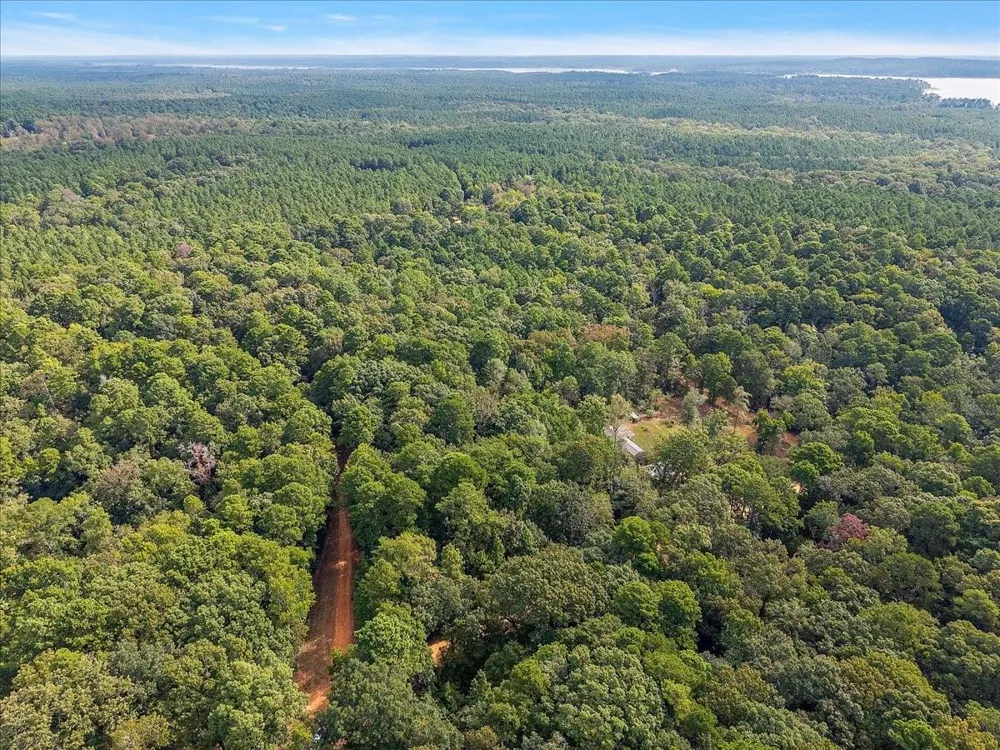 1 White Oak Drive Nacogdoches, TX 75944