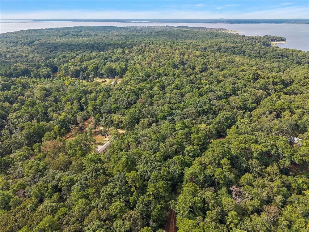 1 White Oak Drive Nacogdoches, TX 75944