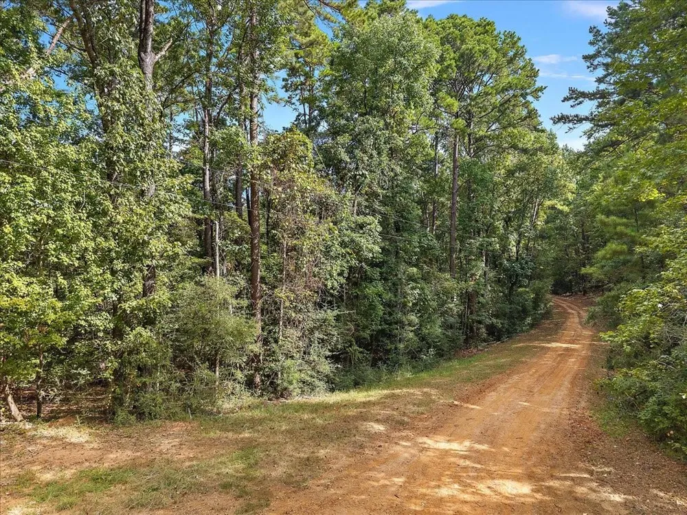 1 White Oak Drive Nacogdoches, TX 75944