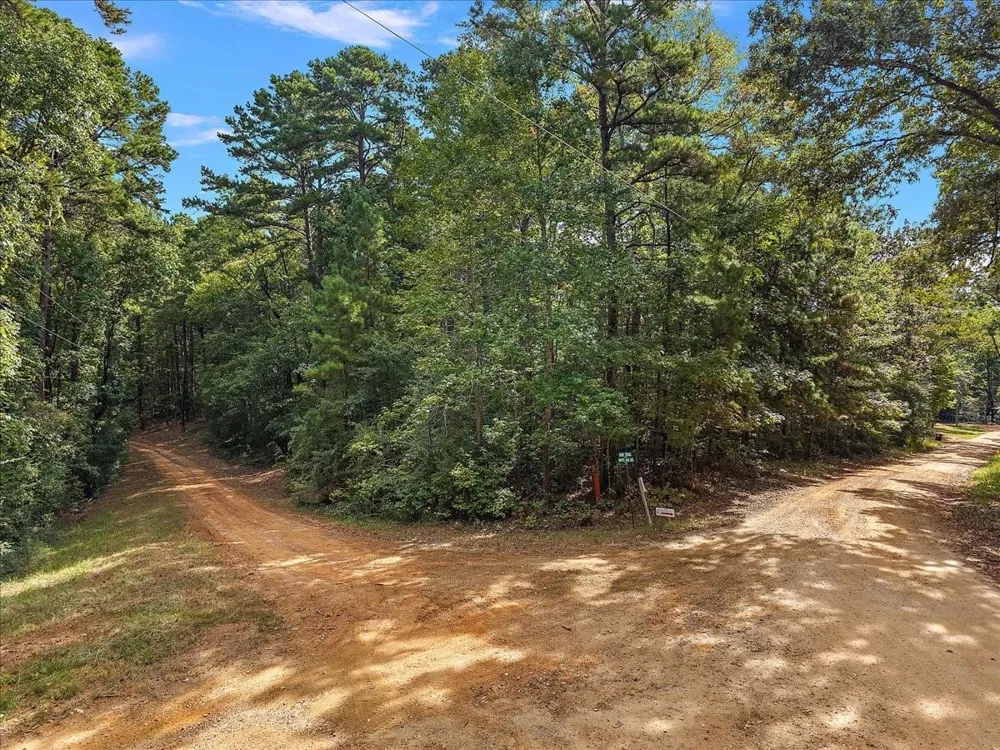 1 White Oak Drive Nacogdoches, TX 75944