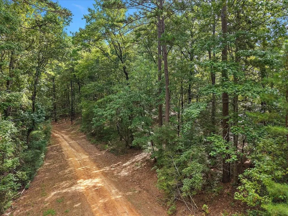 1 White Oak Drive Nacogdoches, TX 75944