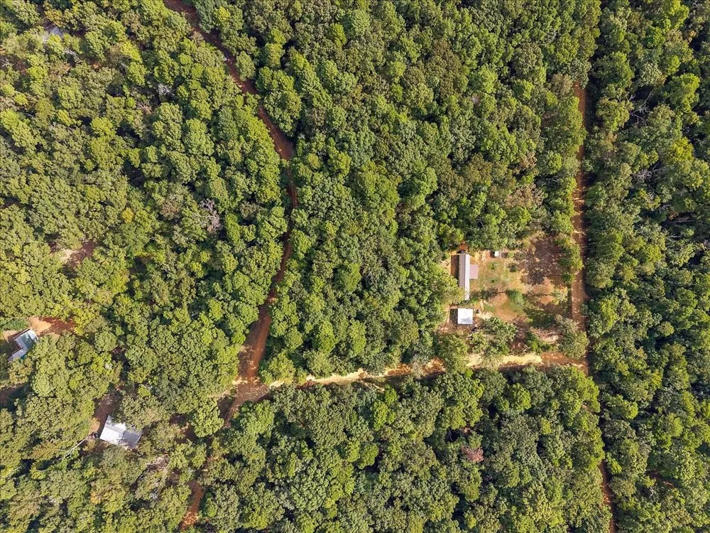1 White Oak Drive Nacogdoches, TX 75944