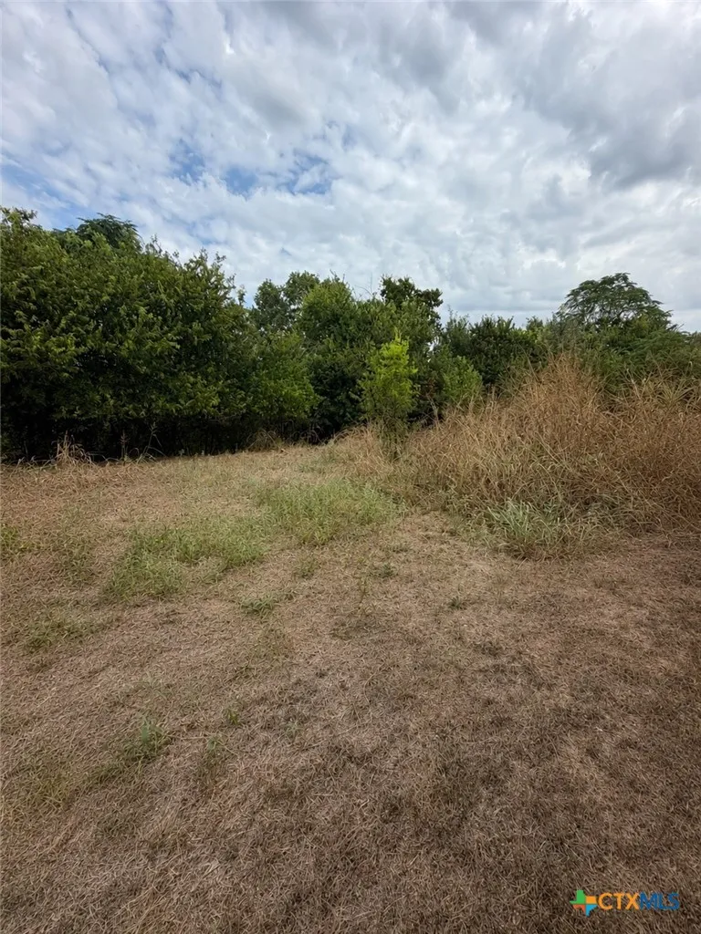 285 Pecos Lane Kempner, TX 76539