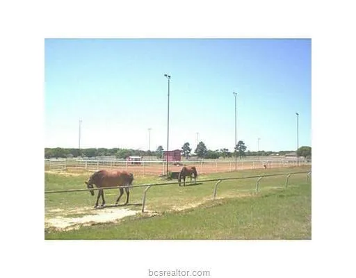 Pin Oak Hilltop Lakes, TX 77871