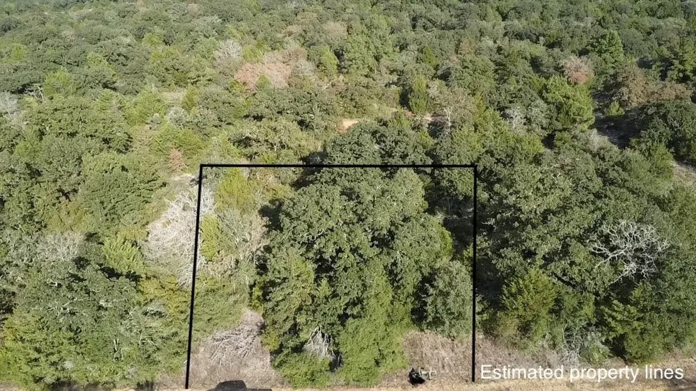 Pin Oak Hilltop Lakes, TX 77871
