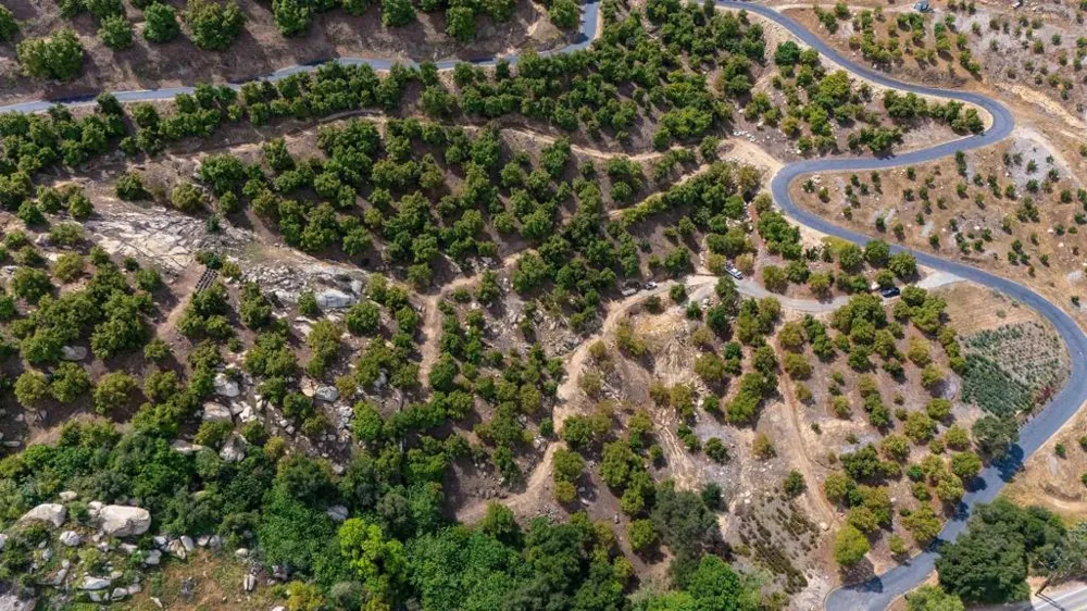 LUIS REY HEIGHTS RD Bonsall, CA 92003