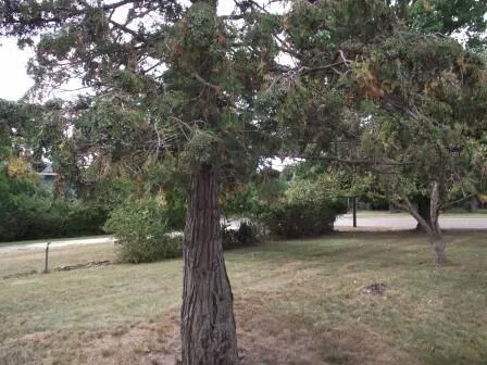 210 Staffon Street Ludington, MI 49431