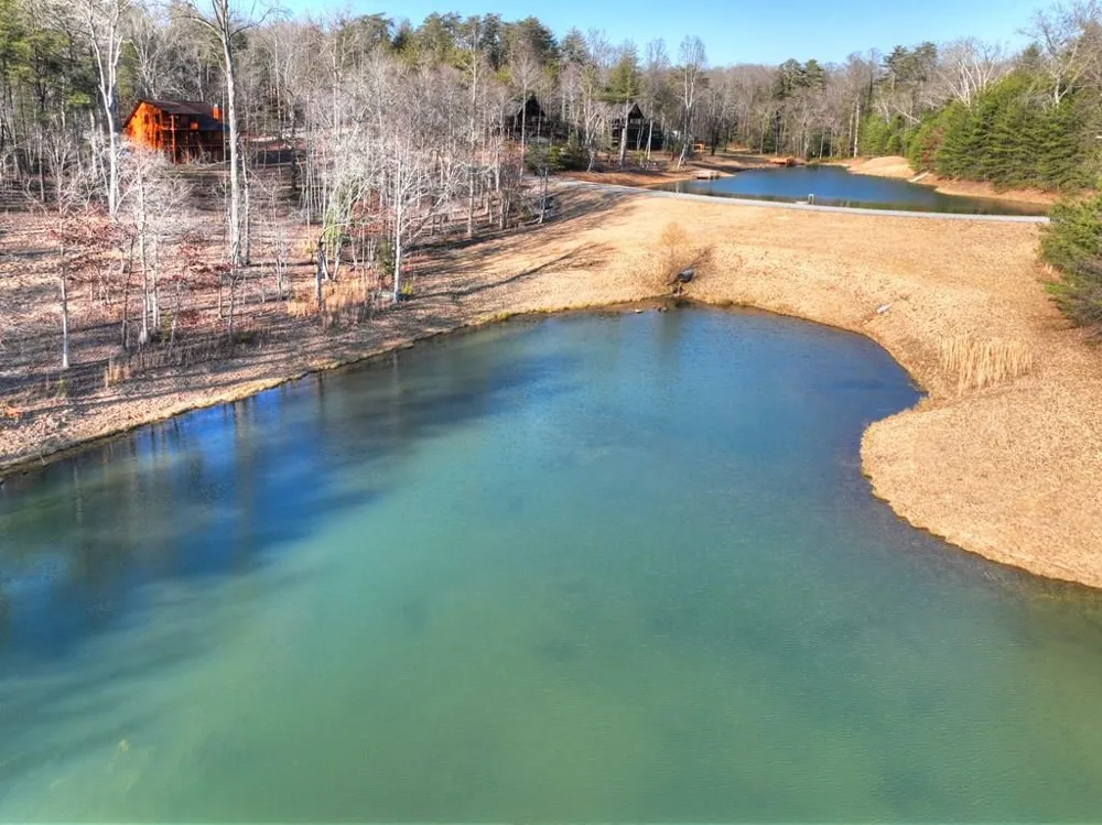 17 Dial Mountain Drive Blue Ridge, GA 30513