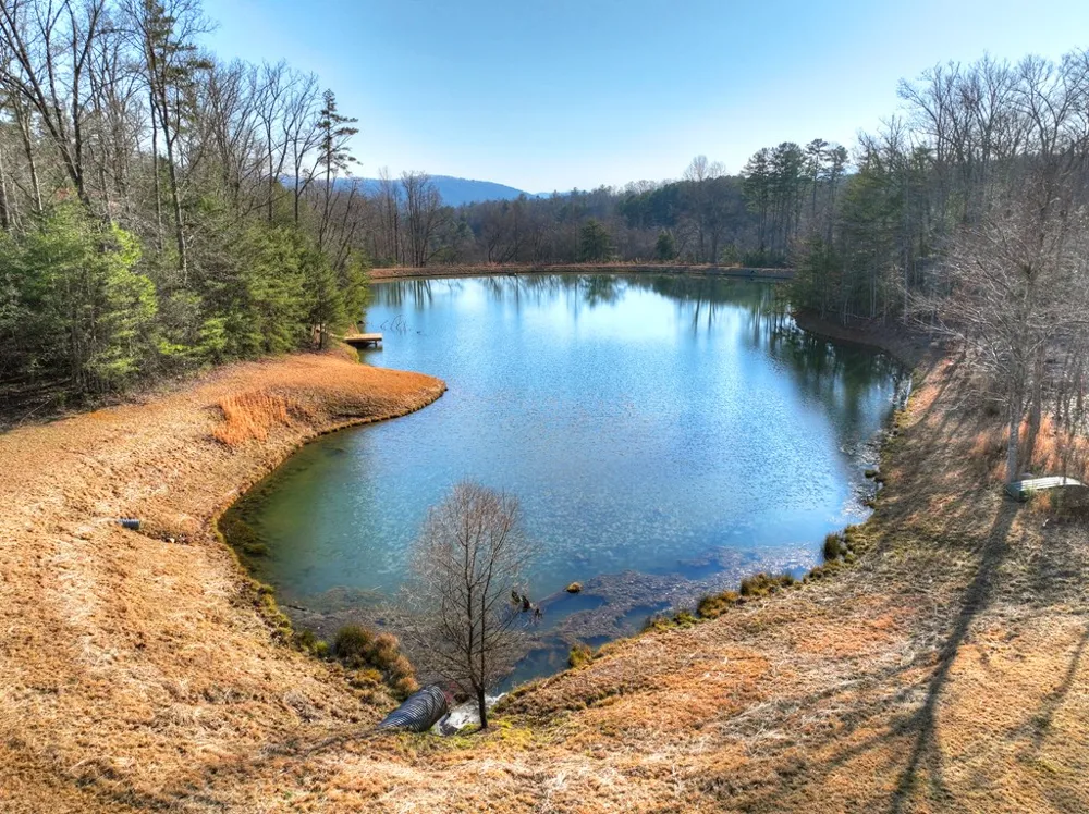 17 Dial Mountain Drive Blue Ridge, GA 30513