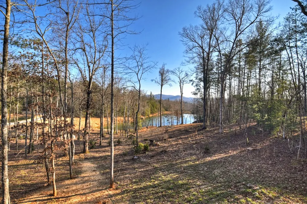 17 Dial Mountain Drive Blue Ridge, GA 30513