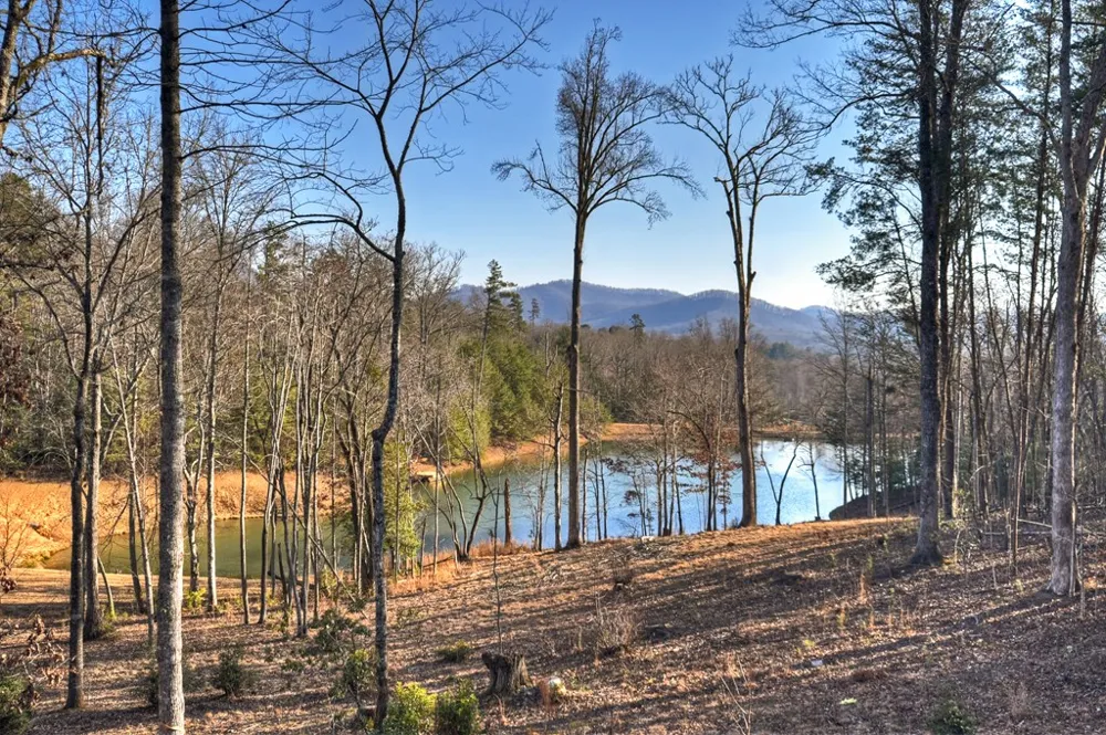 17 Dial Mountain Drive Blue Ridge, GA 30513
