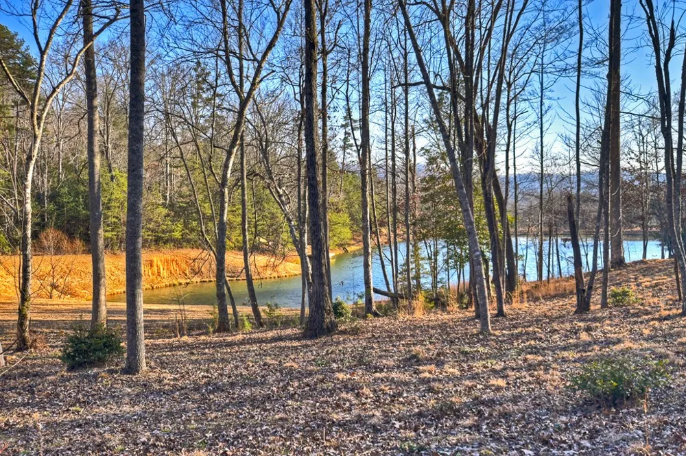 17 Dial Mountain Drive Blue Ridge, GA 30513