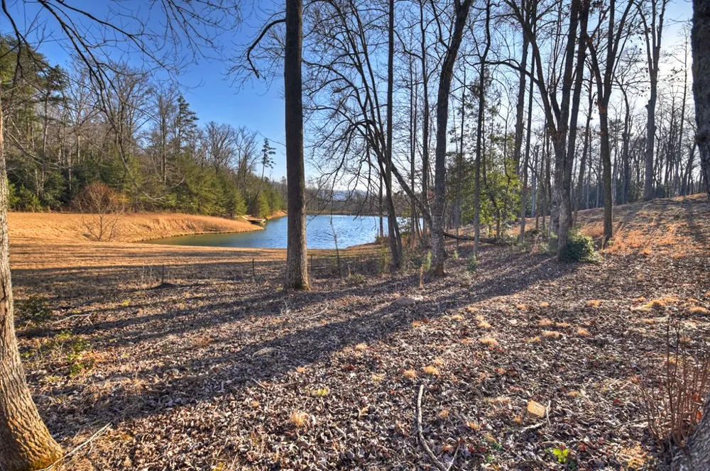 17 Dial Mountain Drive Blue Ridge, GA 30513