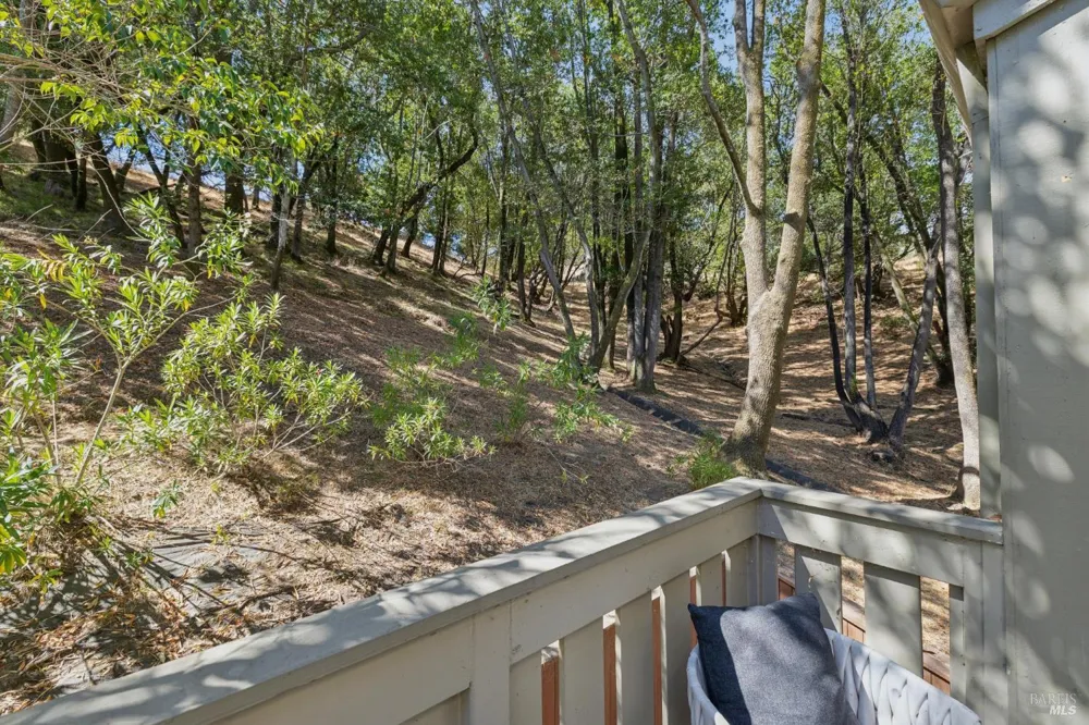 261 Redhawk Road Novato, CA 94949