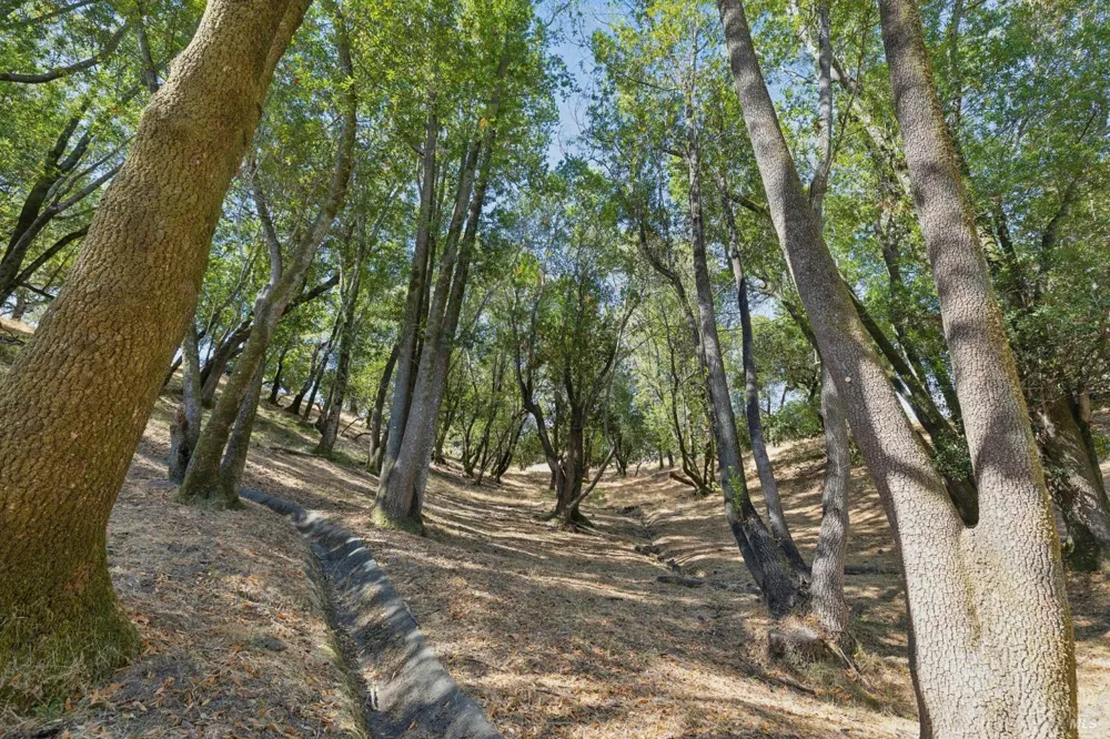 261 Redhawk Road Novato, CA 94949
