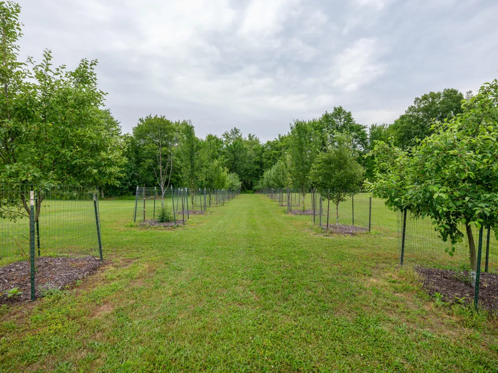 1518 M DRIVE S East Leroy, MI 49051
