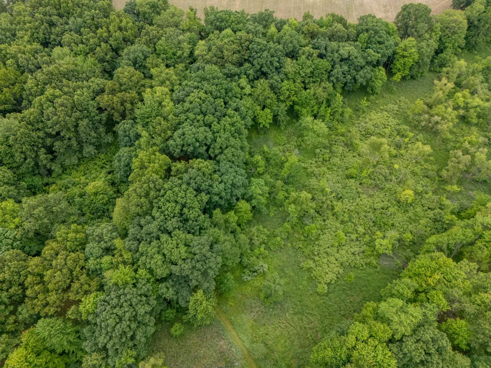 1518 M DRIVE S East Leroy, MI 49051