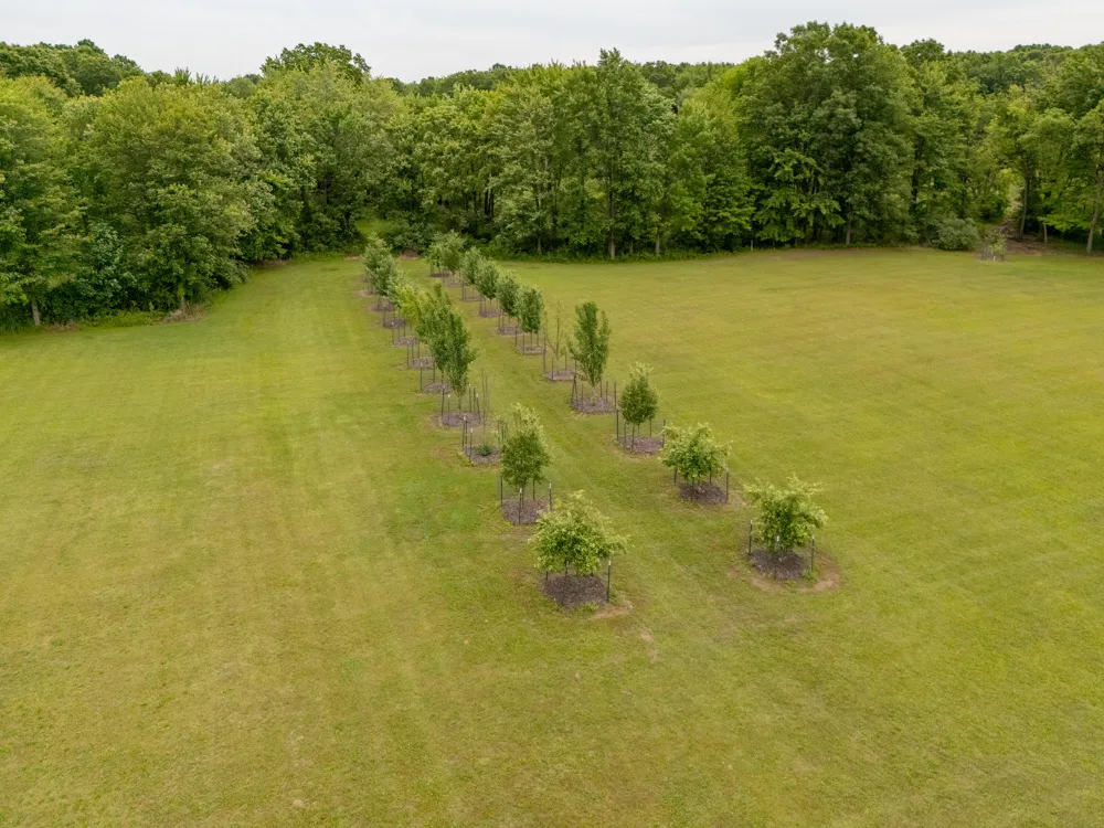 1518 M DRIVE S East Leroy, MI 49051