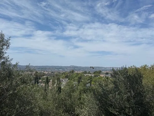 25211 Via Piedra Blanca Laguna Niguel, CA 92677