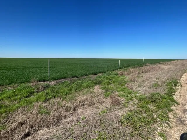 3 CR 355 Rosebud, TX 76519
