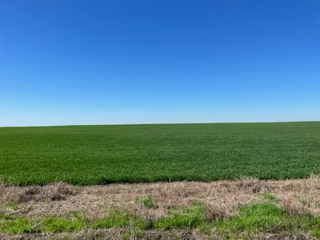 3 CR 355 Rosebud, TX 76519