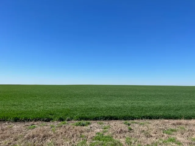 3 CR 355 Rosebud, TX 76519